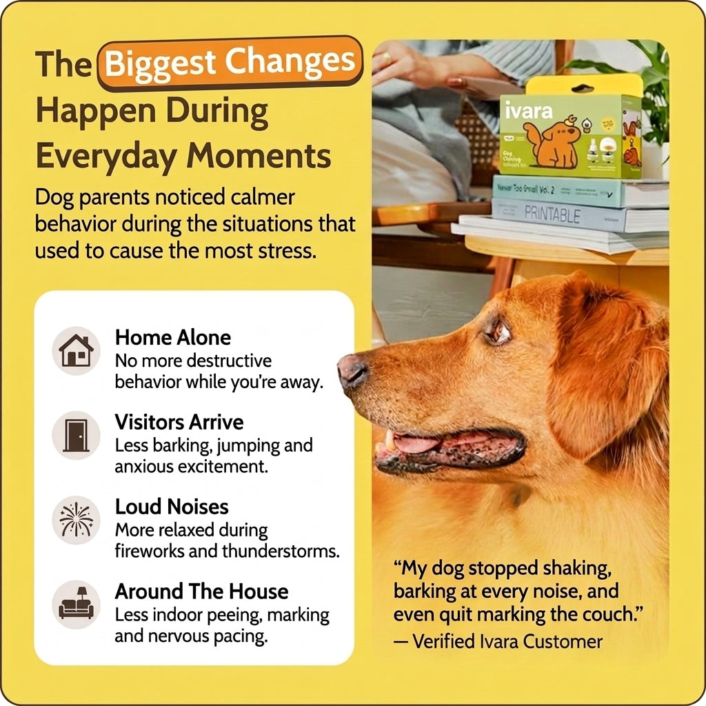 Ivara Pet Calming Diffuser