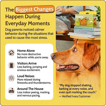 Ivara Pet Calming Diffuser
